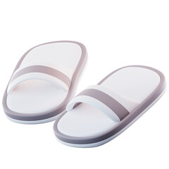 3D Illustration Slipper