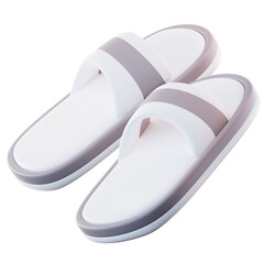 3D Illustration Slipper