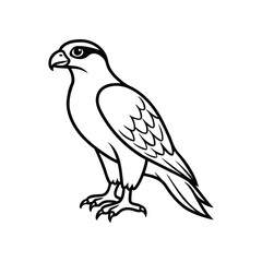 Obraz premium a hawk line art silhouette vector illustration on white background