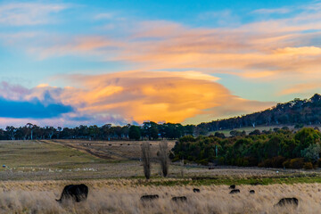 Obraz premium Sunset views over the countryside near Braidwood