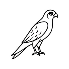 Fototapeta premium a kestrel line art silhouette vector illustration on white background