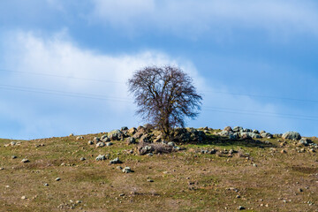 Cloud covered skies over the Winter countryside