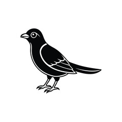 a nightjar line art silhouette vector illustration on white background