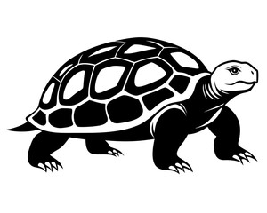 black vector Detailed turtle silhouette, highlighting its shell pattern and reptile features on a white background, showcasing the animal's form