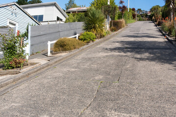 Obraz premium steepest street of the wourld baldwin street in dunedin in new zealand