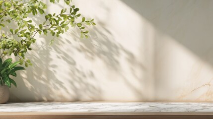 Bright sunlight streams through a window, casting intricate shadows on a smooth marble countertop. A green potted plant adds a touch of nature to the serene interior space.