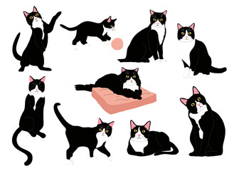 collection of tuxedo cats vector illustration