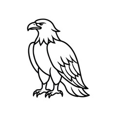 Fototapeta premium an eagle line art silhouette vector illustration on white background