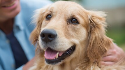 A golden retriever with a joyful expression interacts happily with its owner in a vibrant outdoor setting. The bond showcases warmth and companionship in the sunshine.