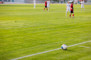 Obraz premium Ball on the grass of a football stadium