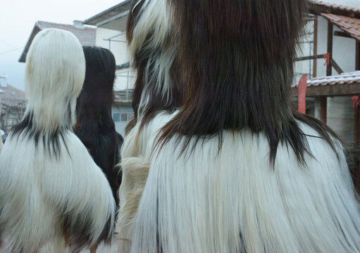 Kukeri performers in traditional fur costumes during a ritual parade in Bulgaria.