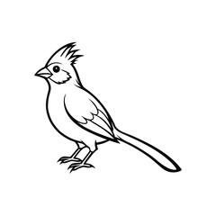 a mousebird bird line art silhouette vector illustration on white background