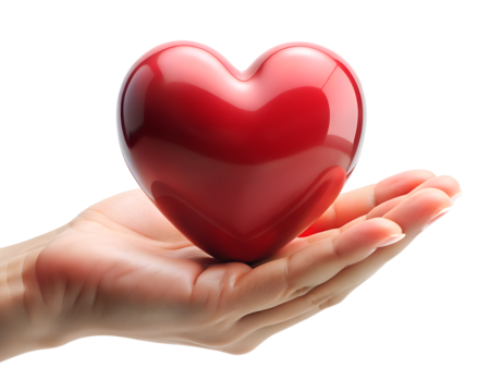 A glossy red heart held gently in an open hand, symbolizing care and love isolated on transparent background