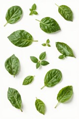 Clean flatlay of basil leaves for ingredient-based marketing, plant-based diet visuals, or herbal remedies.

