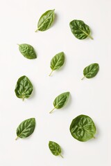 Green basil herb isolated on white flatlay &mdash; ideal for recipe blogs, spice labels, and cooking themes.

