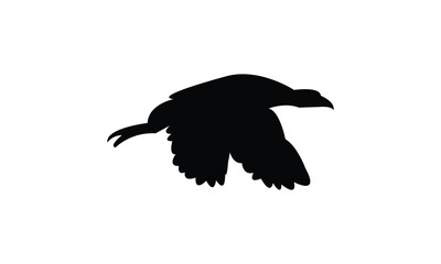 Flying American coot bird Silhouette Design  And Vector Illustration. 