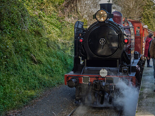 Fototapeta premium Steam Loco Front View Smoking