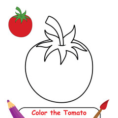 Tomato coloring pages for kids. trace and color tomato. Kindergarten and preschool worksheets printable for kids. vegetable clipart outline vector