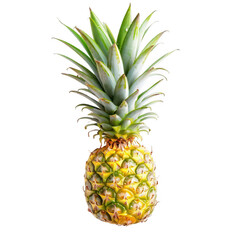 Fresh pineapple, vibrant green leaves, golden yellow flesh