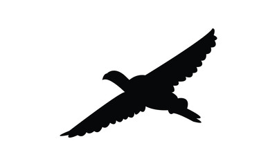 Flying American coot bird Silhouette Design  And Vector Illustration. 