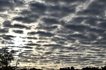 nuage 