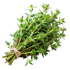 Naklejka premium bunch of rosemary