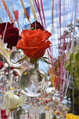 fleur rose 