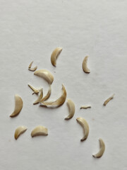 Fingernail Clippings On White Background