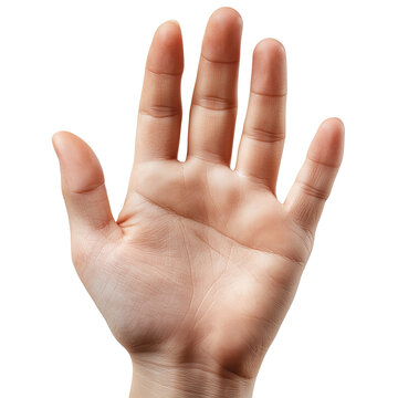 The isolated palm of a man