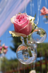 fleur rose 