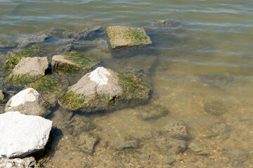 stones in the water