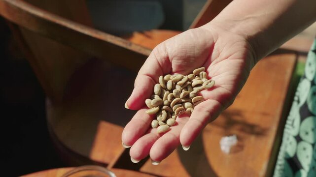 Two hands carrying green coffee beans from Gayo region, Aceh, Indonesia. Slowly shaking the beans. 4K 30 fps (Frame per second)