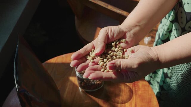 Two hands carrying green coffee beans from Gayo region, Aceh, Indonesia. Slowly shaking the beans. 4K 30 fps (Frame per second)