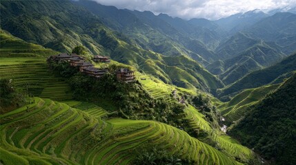 Fototapeta premium Terrace rice fields mountain landscape