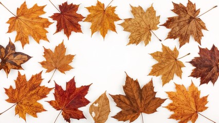 Top-down image of dried autumn maple leaves in shades of brown, red, and orange arranged in a circular frame on a clean white background, ideal for seasonal and nature-themed designs.
