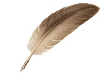 Quill pen featuring a brown feather and metal nib isolated on transparent background, ideal for writing and calligraphy projects