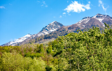 A mountain range with snow on the top and trees in the foreground
