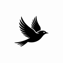 Obraz premium Elegant black bird silhouette in mid flight with wings spread wide isolated on white background silhouette