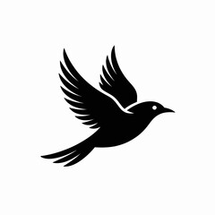 A black silhouette of a bird in flight with wings spread wide isolated on white background silhouette