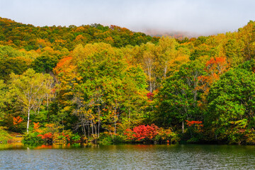 仙人池　秋　紅葉