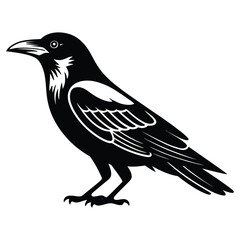crow on a branch