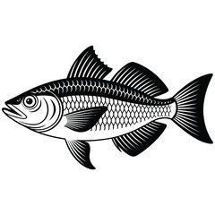 fish vector illustration