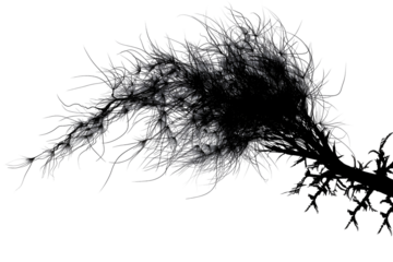 Abstract grayscale artwork resembling a chaotic plant or neural network,