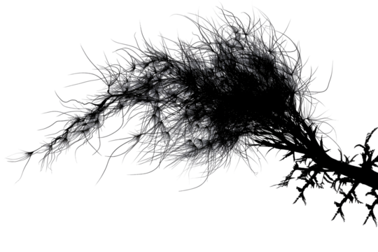 Abstract grayscale artwork resembling a chaotic plant or neural network,