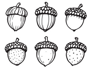 acorn hand drawn icon