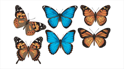 Fototapeta premium A vibrant assortment of different butterfly species. These bright insects symbolize the beauty of nature on a white backdrop. Vector illustration.