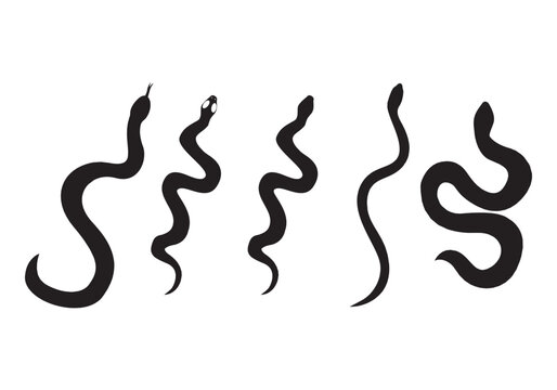  set of snakes silhouette. Snake wrapped around the crescent moon. Boho modern hand drawn design elements for logo design