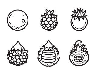 baneberry plant line illustration