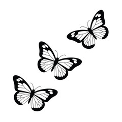 Three Black and White Butterflies Flying on a White Background