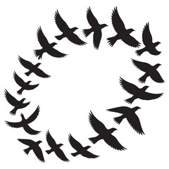 Fototapeta premium Flock of black silhouette birds flying in a circular formation against a white background symbolizing freedom and unity